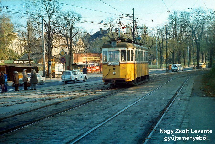 56A - Budagyöngye