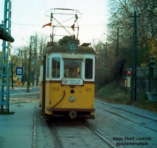 56A - Budagyöngye